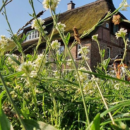 Apartment Freterg Holt, Naehe Binz In Traumhafter Alleinlage, Beirau & Beirau Gbr Zirkow Екстер'єр фото
